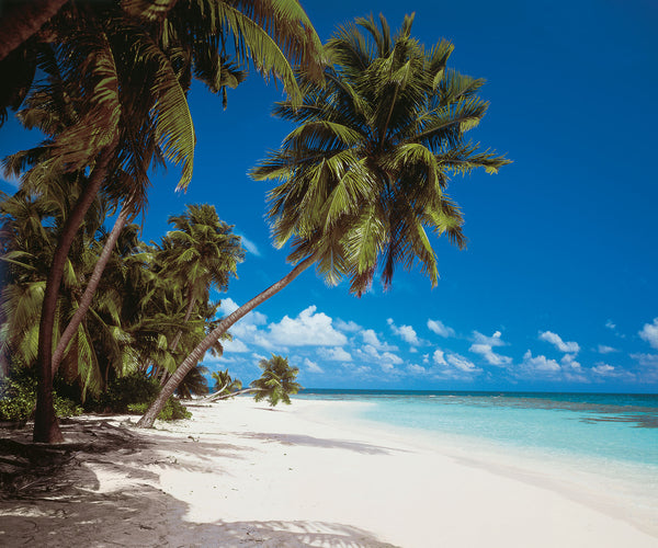 Papier peint panoramique Maldives