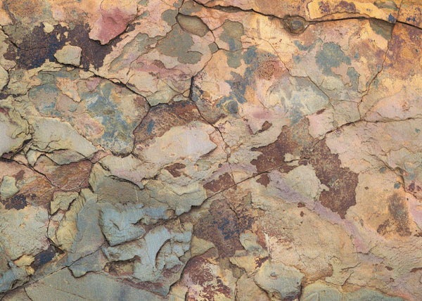 Papier peint panoramique African Wall VI
