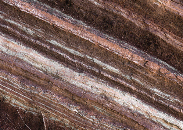 Papier peint panoramique Secrets of the Desert VIII