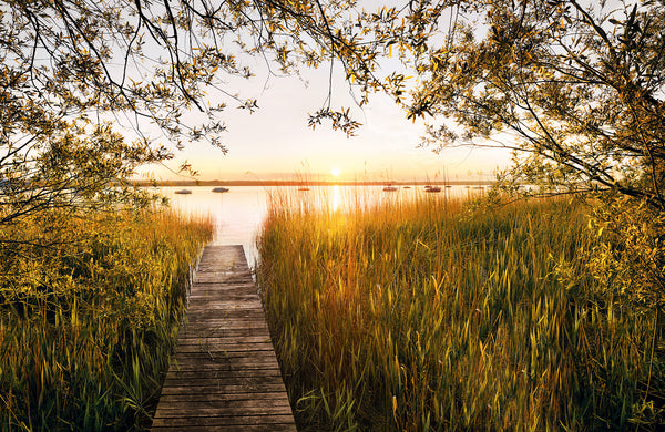Papier peint panoramique Lakeside – 400 × 260 cm