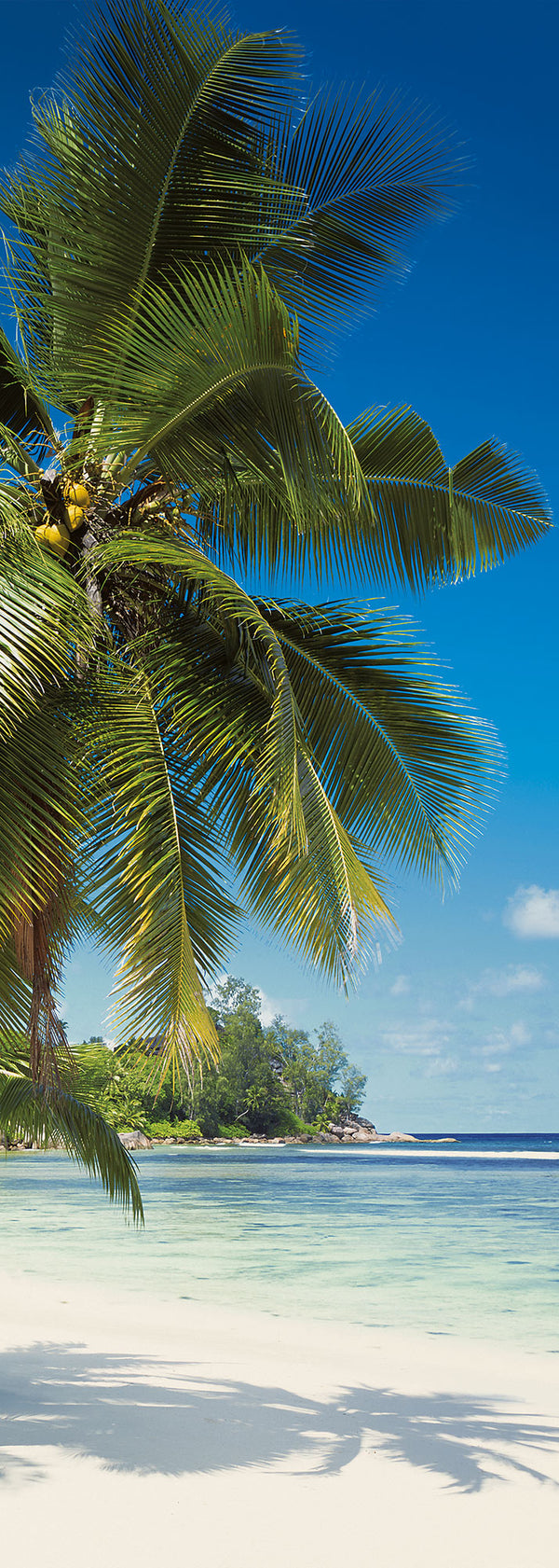 Papier peint panoramique Coconut Bay