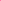 Papier peint panoramique Stems Blooming pink-orange