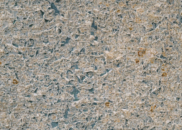 Papier peint panoramique African Wall XV