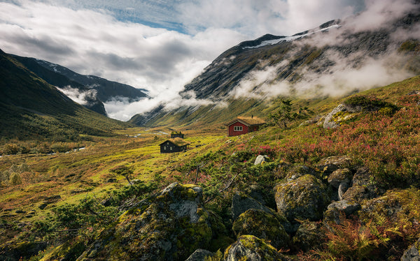 Papier peint panoramique Pure Norway