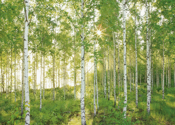 Papier peint panoramique Sunday – 350 × 250 cm