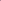 Papier peint panoramique Blooming Gems